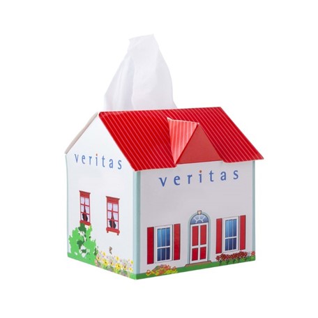 Tissue box huis