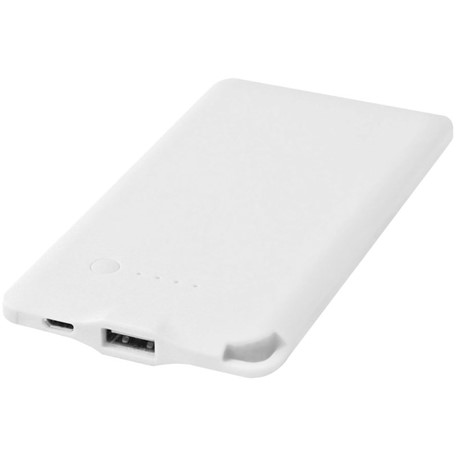 Powerbank WS119