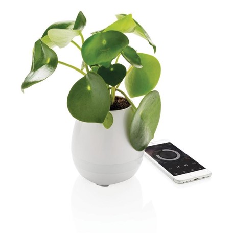 Plant speaker, wit