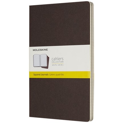 Cahier Journal L - ruitjes