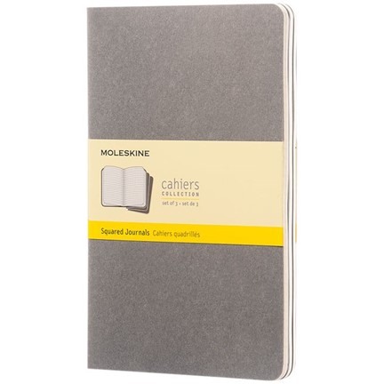 Cahier Journal L - ruitjes