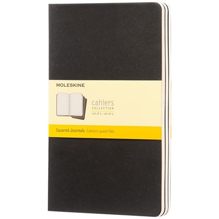 Cahier Journal L - ruitjes