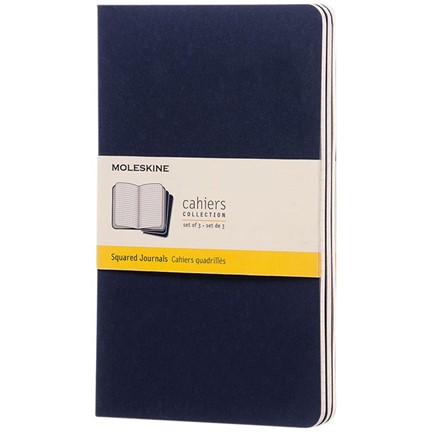 Cahier Journal L - ruitjes