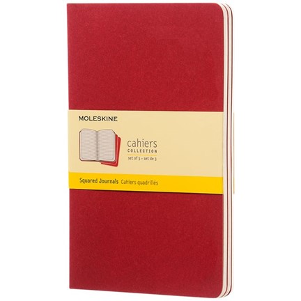 Cahier Journal L - ruitjes