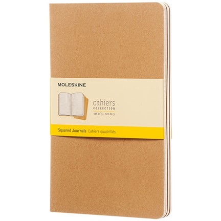 Cahier Journal L - ruitjes